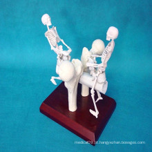 Modelo de esqueleto humano artificial Produtos de presente médico